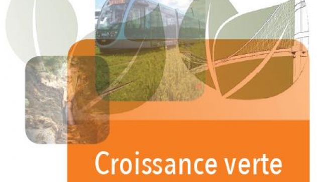 Croissance verte : investir dans les infrastructures pour réussir la transition écologique