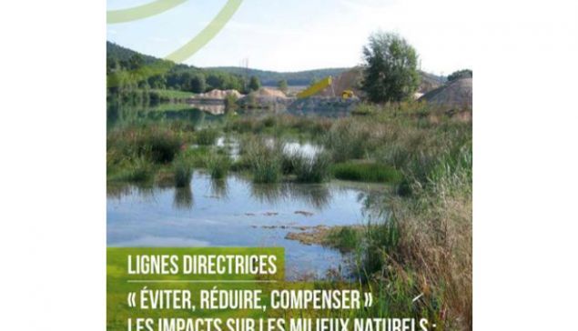 Eviter, réduire, compenser : un guide de référence pour protéger la biodiversité