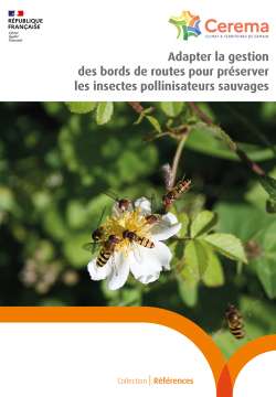 Adapter la gestion des bords de routes pour préserver les insectes pollinisateurs sauvages