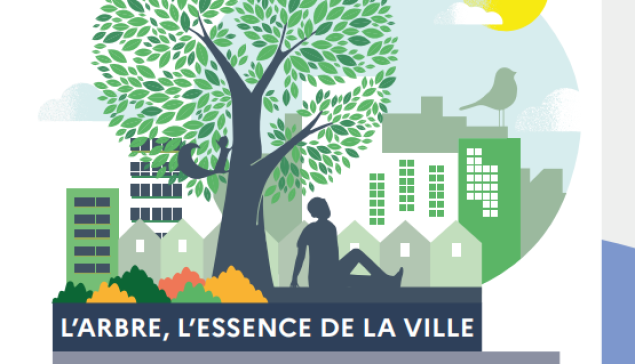 L'arbre, l'essence de la ville