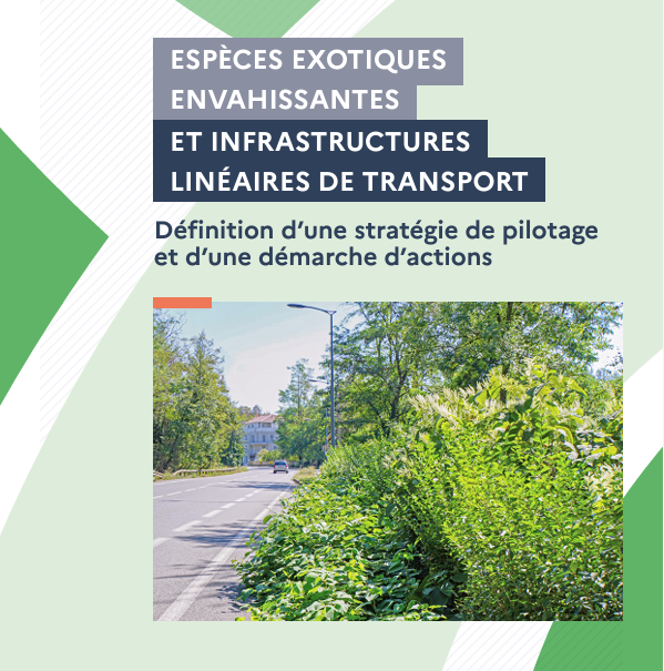 Espèces exotiques envahissantes et infrastructures transport