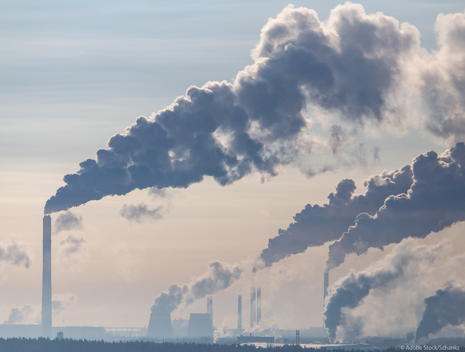 Le Parlement Européen adopte 5 textes clés pour atteindre l'objectif climatique de 2030