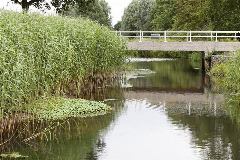 Accord sur un règlement européen pour restaurer la nature