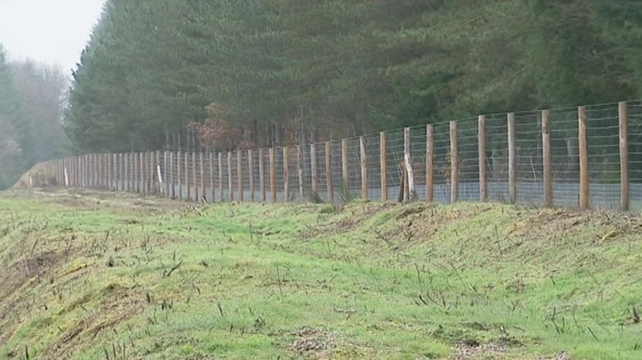 Limitation de l'engrillagement des espaces naturels