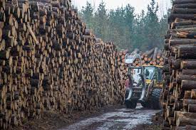 Modification du cahier des charges des éco-organismes - Produits et matériaux en bois