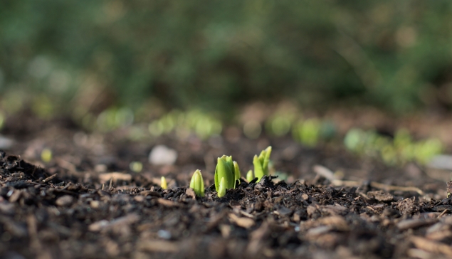 La bande dessinée du Cerema : 