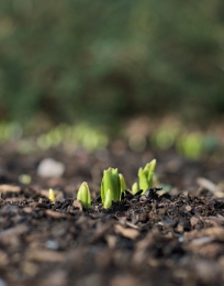 La bande dessinée du Cerema : 