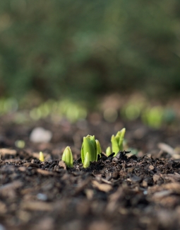 La bande dessinée du Cerema : 