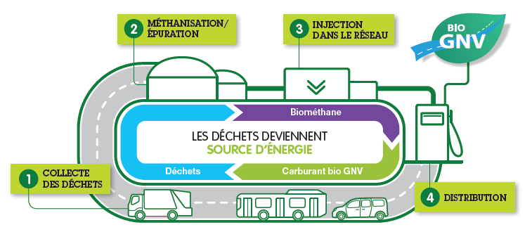 schema ecocir biognv