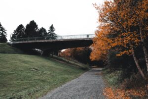 image d'un pont routier