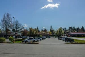 Parking végétalisé