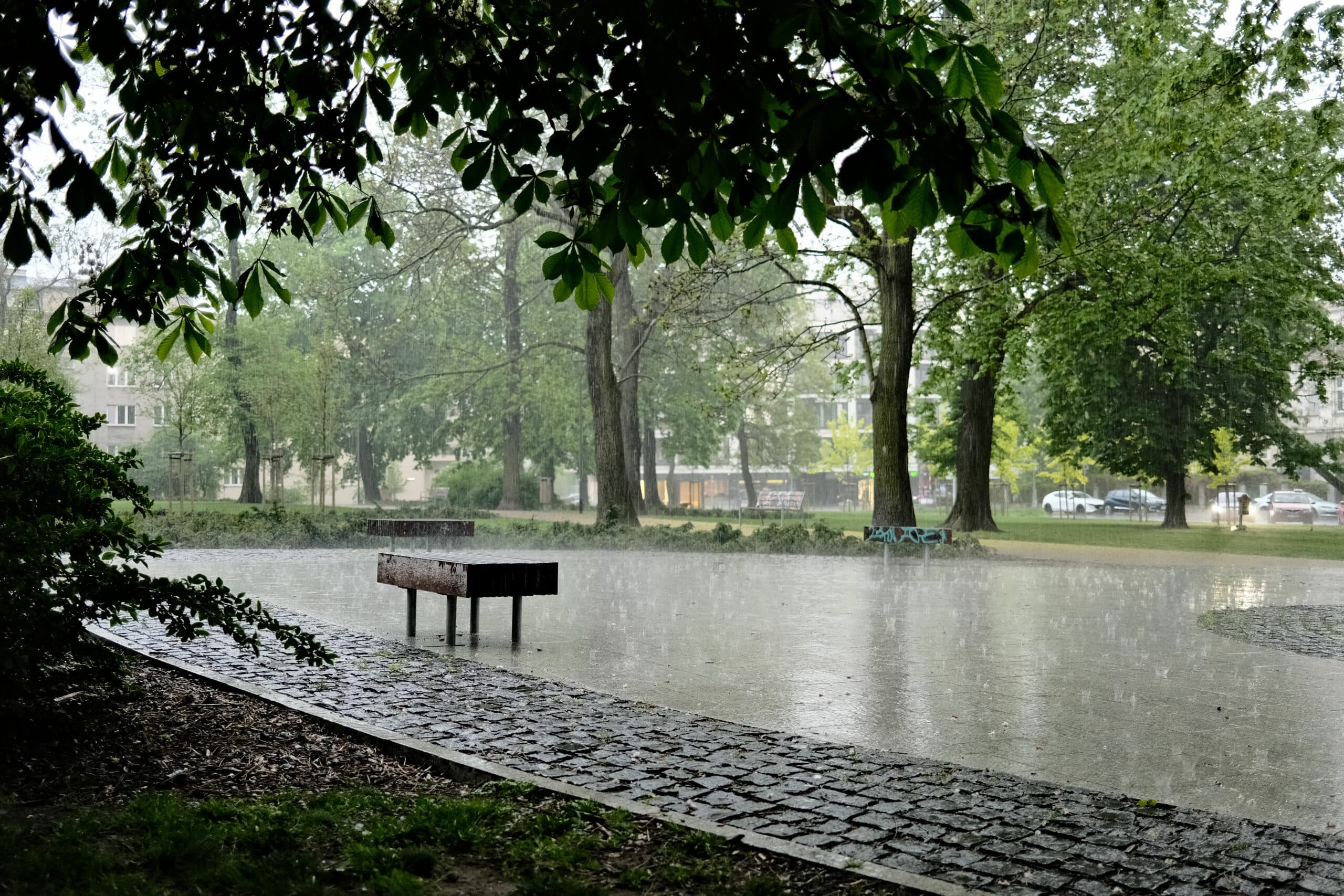 Mettre en place une gestion durable des eaux pluviales