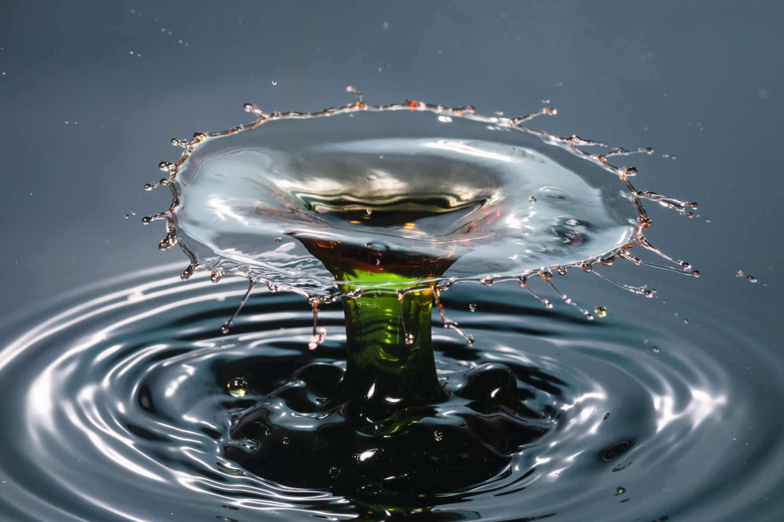 Zones humides : des solutions concrètes pour protéger l’eau potable